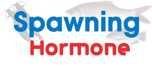 Spawning-Hormone-Final