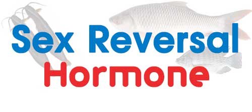 sex-reversal